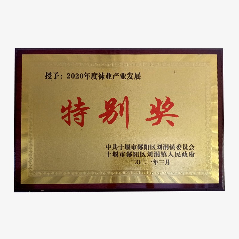 2022年度襪業產業發展特別獎